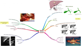 Click image for larger version  Name:	Biliary Atresia.png Views:	30 Size:	659.0 KB ID:	568