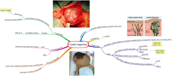Click image for larger version  Name:	Cystic hygroma.png Views:	50 Size:	593.1 KB ID:	598