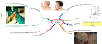 Click image for larger version  Name:	Sternomastoid tumor.png Views:	33 Size:	600.7 KB ID:	728