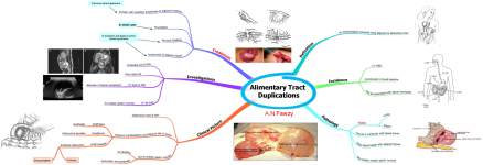 Click image for larger version  Name:	Alimentary Tract Duplications.png Views:	90 Size:	468.7 KB ID:	1075