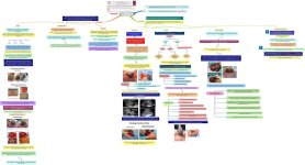 Click image for larger version  Name:	Error traps and culture of safety in the treatment of abdominal wall defects.jpeg Views:	158 Size:	122.7 KB ID:	1281
