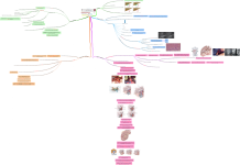 Click image for larger version  Name:	Error Traps biliary atresia.png Views:	213 Size:	515.6 KB ID:	1868