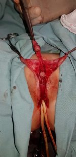 Click image for larger version Name: 3.jpg Views: 1 Size: 57.2 KB ID: 2048 Click image for larger version Name: 3.jpg Views: 1 Size: 57.2 KB ID: 2048