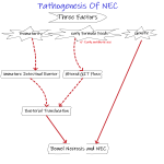 NEC2.png