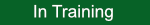 in-train.png
