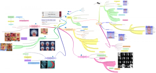 Error Traps.png - Click image for larger version  Name:	Error Traps.png Views:	3 Size:	475.2 KB ID:	230