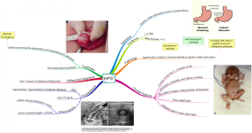 Click image for larger version  Name:	IHPS.png Views:	45 Size:	679.8 KB ID:	269