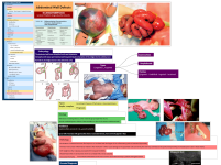 Click image for larger version  Name:	Capture.PNG Views:	39 Size:	682.4 KB ID:	431