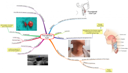 Click image for larger version  Name:	Thyroglossal Cyst.png Views:	27 Size:	665.2 KB ID:	433