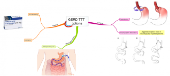 Click image for larger version  Name:	GERD TTT options.png Views:	0 Size:	418.6 KB ID:	462