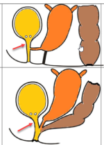 2021-07-31_14-43-17.png