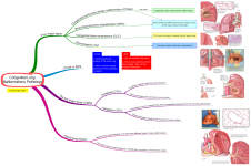 Congenital Lung Malformations Pathology.png