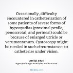 64F67EDD-EED3-46FD-A667-B4DABA2A6DD5.jpg