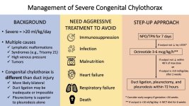 repview.jpg
