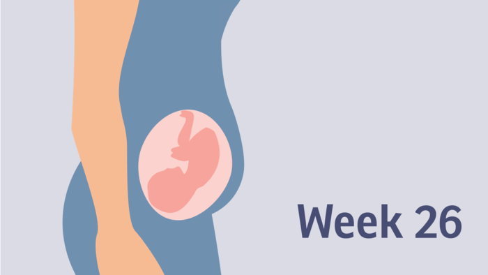 Click image for larger version

Name:	26week-pregnancy-db596b.png
Views:	63
Size:	32.0 KB
ID:	684