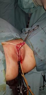 Click image for larger version  Name:	2.jpg Views:	1 Size:	40.9 KB ID:	2049