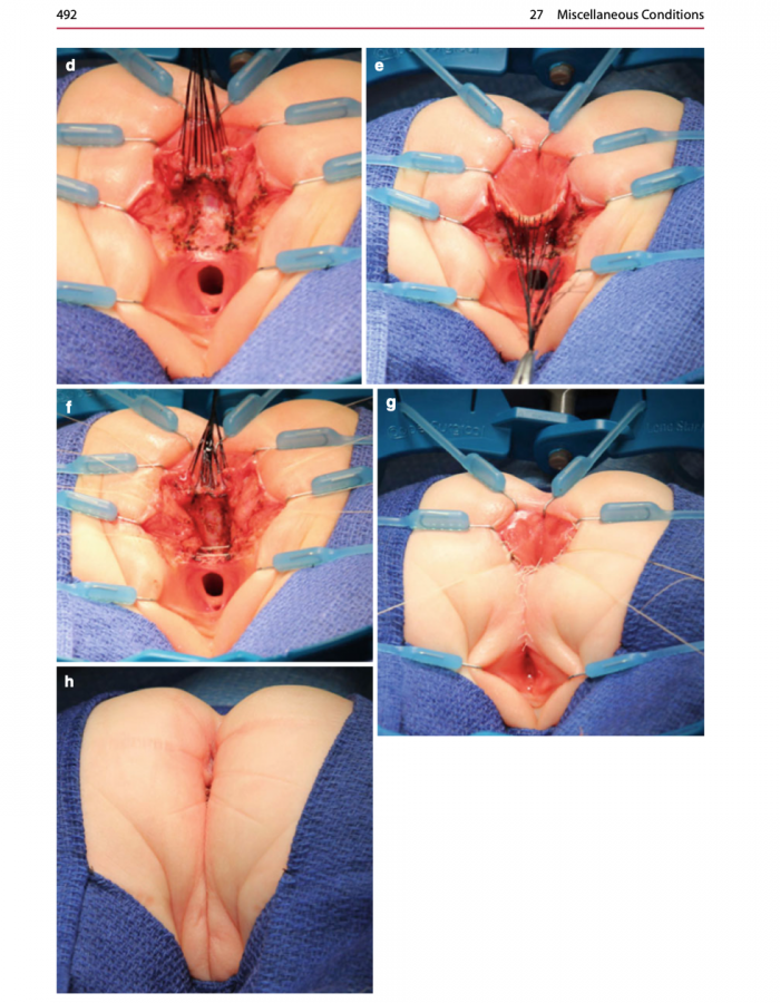 Click image for larger version

Name:	image_384.png
Views:	196
Size:	750.2 KB
ID:	2445