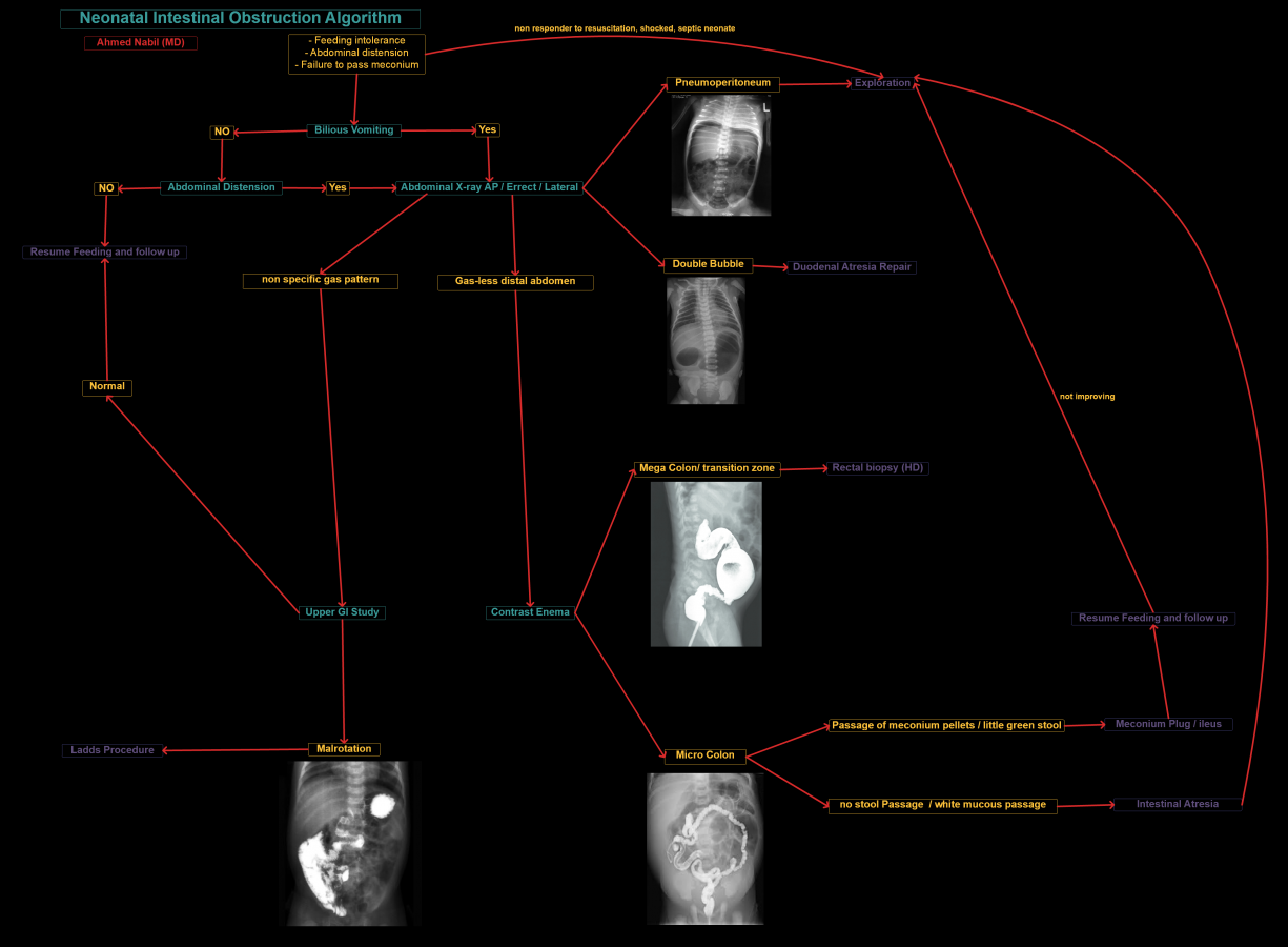 Click image for larger version

Name:	neonatal IO.png
Views:	230
Size:	231.7 KB
ID:	2527