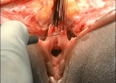 Click image for larger version  Name:	123.gif Views:	8 Size:	2.04 MB ID:	2906