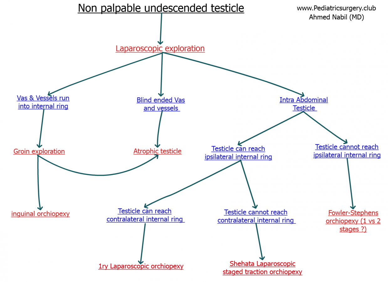 Click image for larger version

Name:	undescended.png
Views:	246
Size:	513.4 KB
ID:	3825