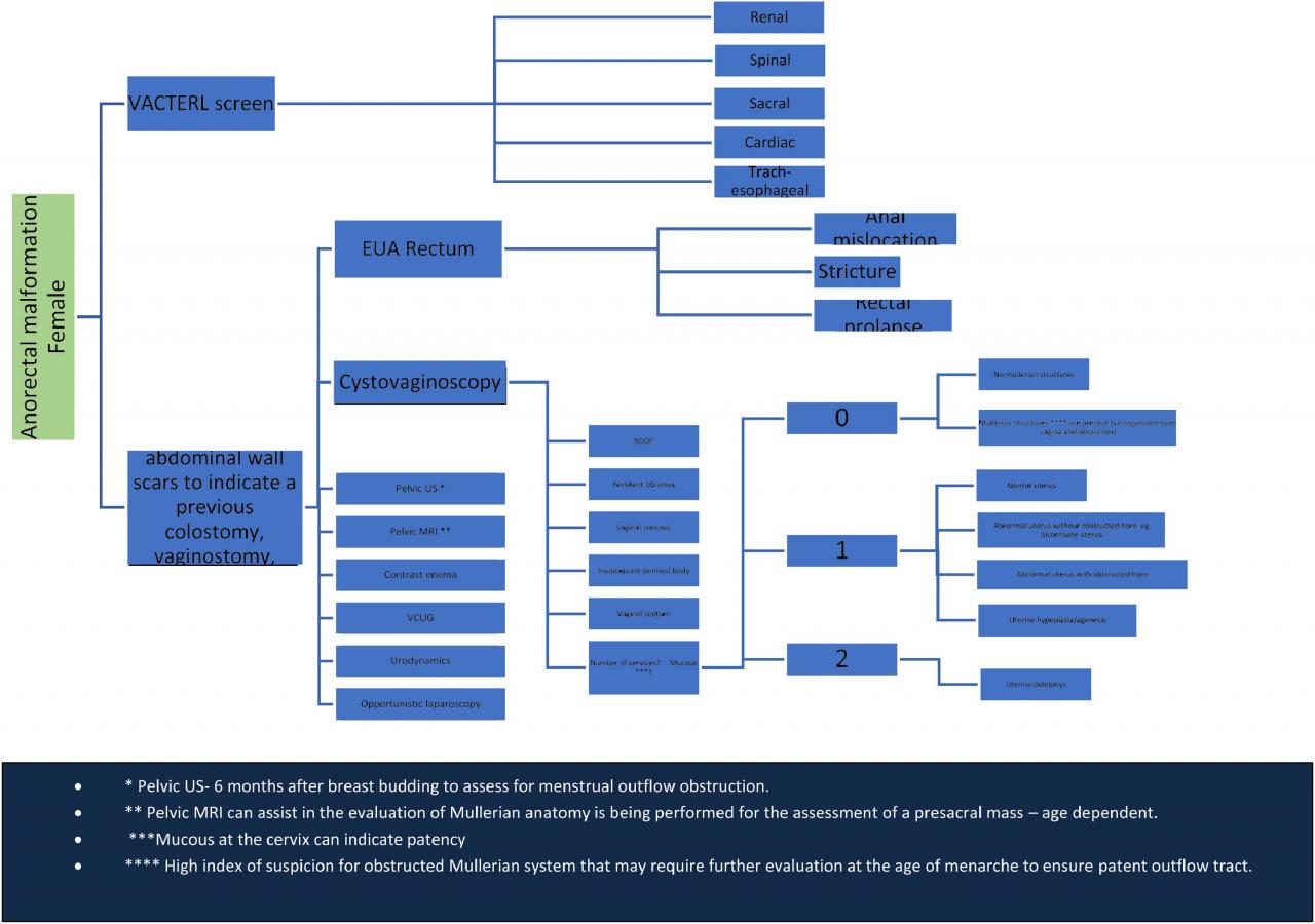 Click image for larger version

Name:	gr6.jpeg
Views:	103
Size:	104.0 KB
ID:	5498