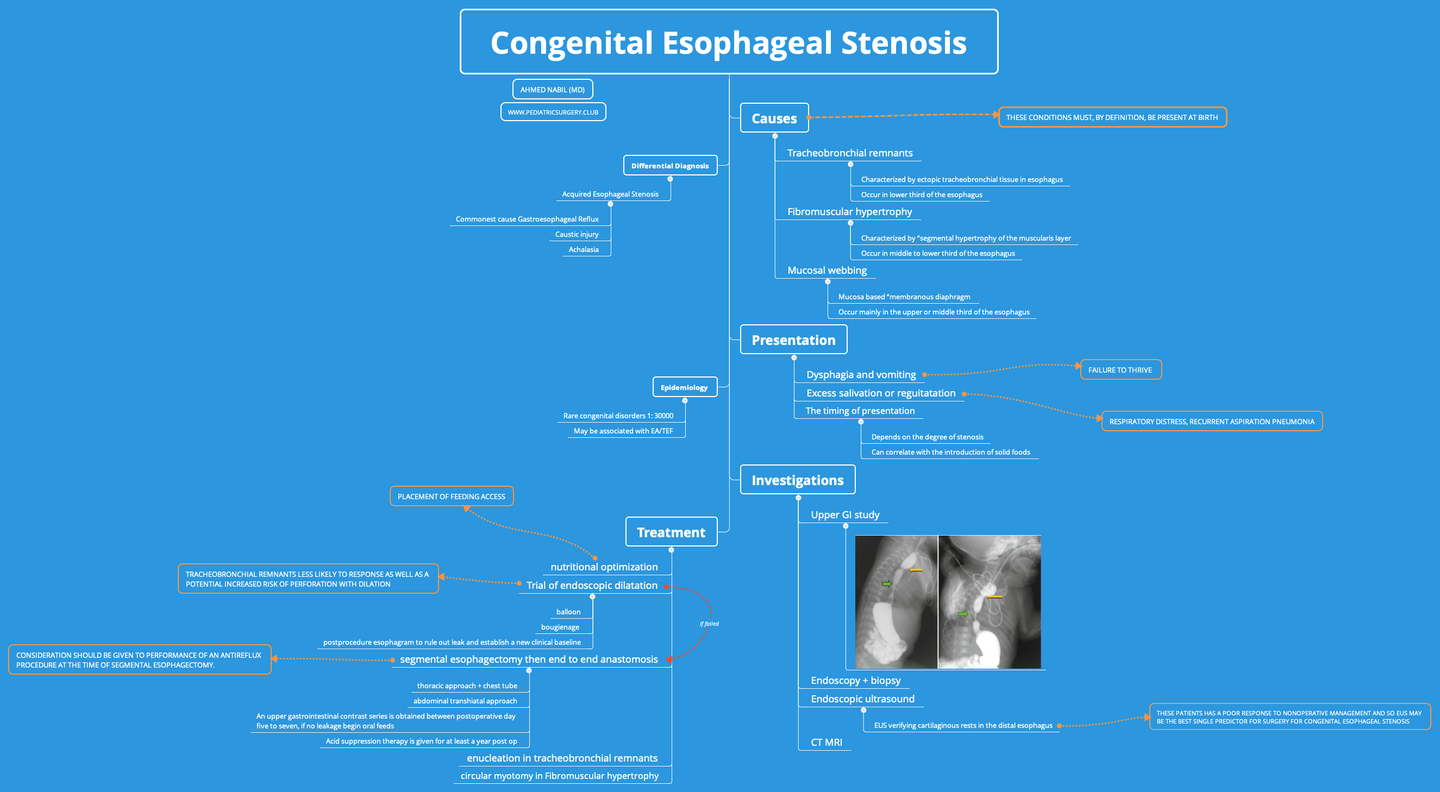 Click image for larger version

Name:	Congenital Esophageal Stenosis.png
Views:	119
Size:	273.0 KB
ID:	12685
