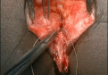 Click image for larger version

Name:	2021-03-06_13-52-21.gif
Views:	537
Size:	3.39 MB
ID:	2905